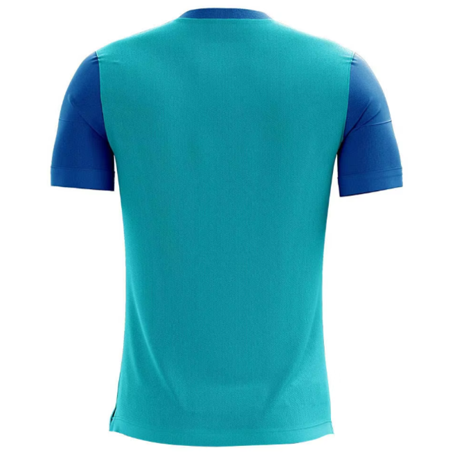 Polyester Soccer Jersey